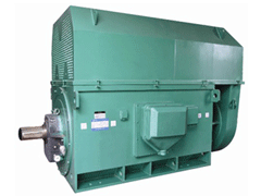 西峡Y系列6KV高压电机